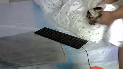 Snapshot of mollynebony chatting on 18, 3, 2026 mollyn online show from 18, 3, 2026