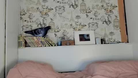 Snapshot of mommyicon chatting on 15, 9, 2025 Liza online show from 15, 9, 2025