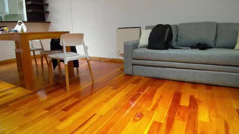 Monikfree online show from 5, 12, 2024