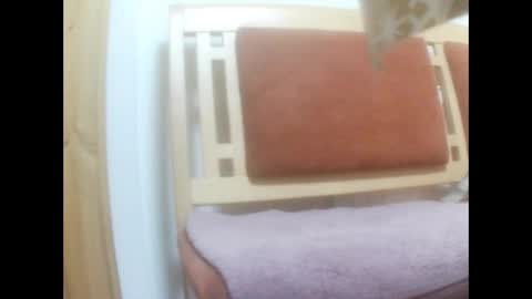 moos1 online show from 2, 3, 2026