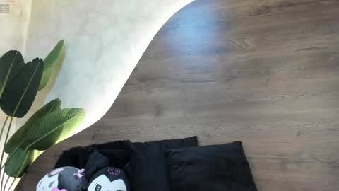  Morgan  online show from 28, 1, 2025