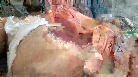 Snapshot of mosta977 chatting on 24, 11, 2025 Arab boy online show from 24, 11, 2025