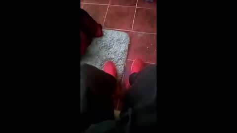 mpajfskjuzcs online show from 24, 3, 2026