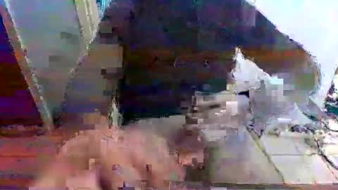 Snapshot of mppempis81 chatting on 15, 11, 2025 mppempis81 online show from 15, 11, 2025