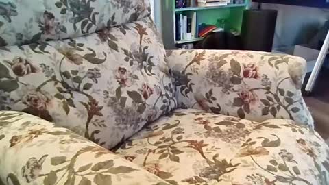 Snapshot of mr_atwood chatting on 6, 8, 2026 mr_atwood online show from 6, 8, 2026