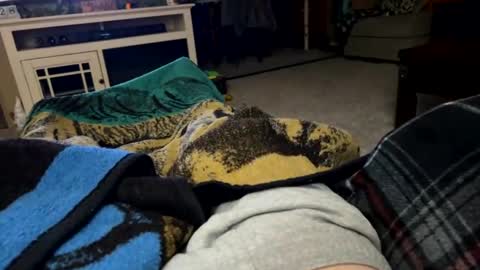 mr_green_strokes online show from 1, 3, 2025