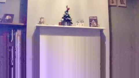 Snapshot of mr_i_ chatting on 17, 12, 2024 mr_i_ online show from 17, 12, 2024