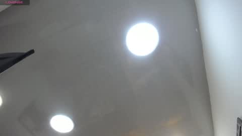 williseo online show from 22, 3, 2026