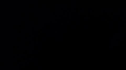 Snapshot of mrbillxxx chatting on 14, 4, 2026 mrbillxxx online show from 14, 4, 2026