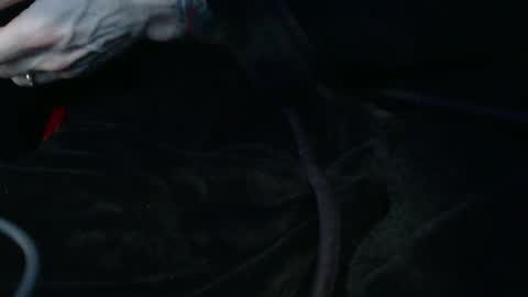 Snapshot of mrf388 chatting on 8, 2, 2026 IwantU2WatchME online show from 8, 2, 2026