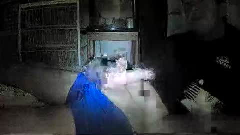 Snapshot of mrgray11xxx chatting on 8, 12, 2024 mrgray11xxx aussie online show from 8, 12, 2024