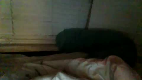 Snapshot of mrgray11xxx chatting on 20, 12, 2024 mrgray11xxx aussie online show from 20, 12, 2024