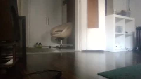 Nikola online show from 17, 1, 2026