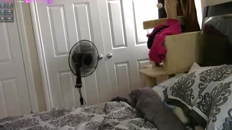 Snapshot of mrsjess1 chatting on 17, 11, 2025 MrsJess online show from 17, 11, 2025