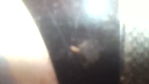 Mrs Venus online show from 30, 1, 2025