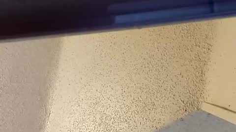 Snapshot of msalls1124 chatting on 2, 3, 2026 melissa online show from 2, 3, 2026