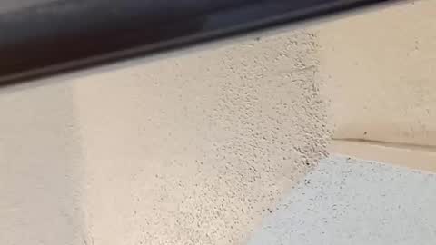 Snapshot of msalls1124 chatting on 14, 3, 2026 melissa online show from 14, 3, 2026