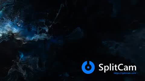 MsPurrfectLove online show from 26, 7, 2026