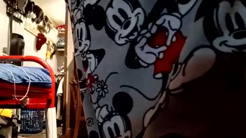 Snapshot of muddflapz chatting on 6, 10, 2025 muddflapz online show from 6, 10, 2025