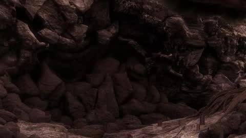 multitest101 online show from 17, 3, 2026