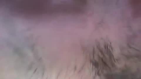 musclehair3 online show from 13, 7, 2026