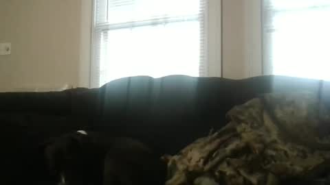 Snapshot of my_banana_creampies chatting on 19, 2, 2026 my_banana_creampies online show from 19, 2, 2026