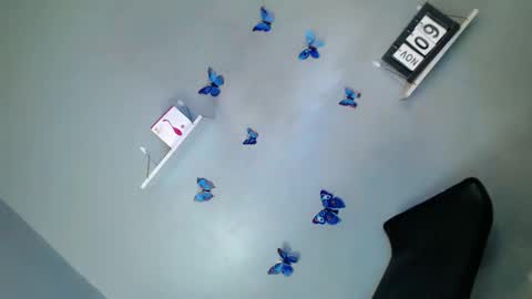 Snapshot of my_girl28 chatting on 9, 11, 2025 jasmine online show from 9, 11, 2025