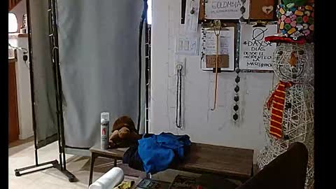 LA MARIPOSA DE MARICOPA online show from 25, 12, 2024