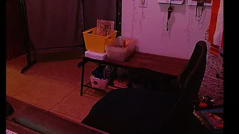 LA MARIPOSA DE MARICOPA online show from 8, 1, 2025