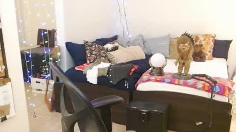 LA MARIPOSA DE MARICOPA online show from 14, 2, 2025