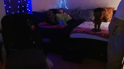 LA MARIPOSA DE MARICOPA online show from 15, 2, 2025