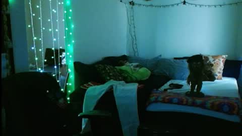 LA MARIPOSA DE MARICOPA online show from 16, 2, 2025