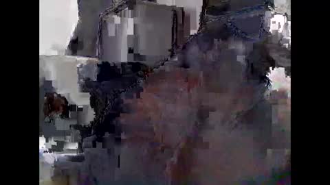 mycockissohard2021 online show from 6, 5, 2026