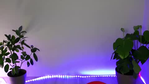  Eve  online show from 11, 10, 2025