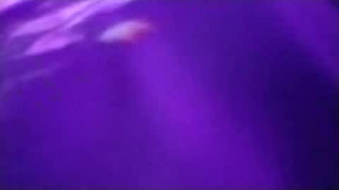 Snapshot of n298033 chatting on 23, 9, 2025 n298033 online show from 23, 9, 2025