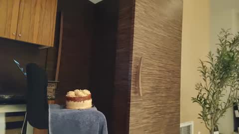 Snapshot of nakeddrewsea chatting on 26, 1, 2025 Drew from Seattle online show from 26, 1, 2025