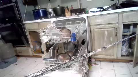 nakednate1780 online show from 3, 3, 2025