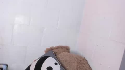 Snapshot of nala_sc chatting on 3, 6, 2026 nala_sc online show from 3, 6, 2026