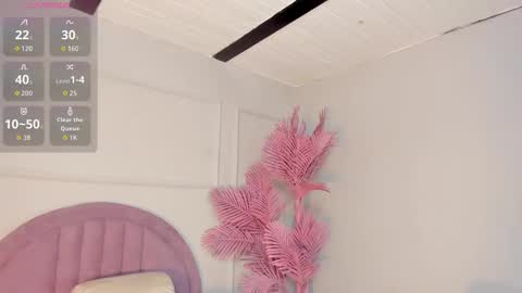 nalapalmer online show from 23, 3, 2026