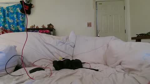 Nanna Baldur online show from 17, 12, 2024