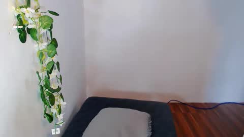 nashdiam online show from 30, 11, 2025