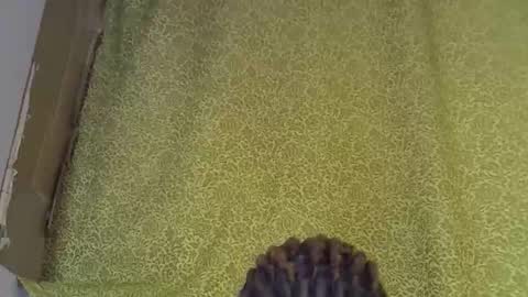 Snapshot of nasty_previne chatting on 7, 1, 2026 previn online show from 7, 1, 2026