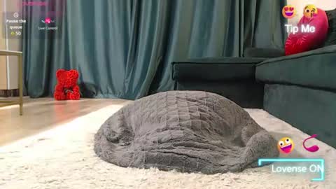 Snapshot of natasha_bigass chatting on 7, 8, 2026 Naty online show from 7, 8, 2026