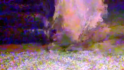 naughty__hotty online show from 15, 3, 2026