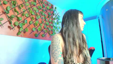 Kitten online show from 6, 4, 2026