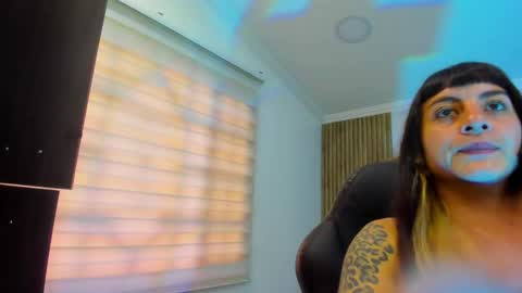 Kitten online show from 7, 5, 2026