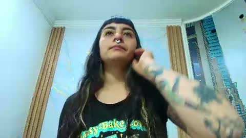 Kitten online show from 18, 7, 2026