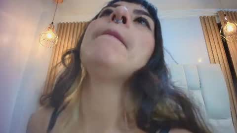 Kitten online show from 5, 8, 2026