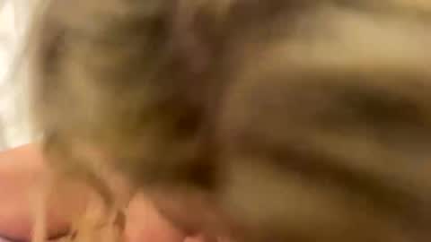 Naughtycouple2026 online show from 24, 4, 2026