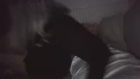 Snapshot of nchastain74 chatting on 30, 1, 2025 wetnikki6590 online show from 30, 1, 2025